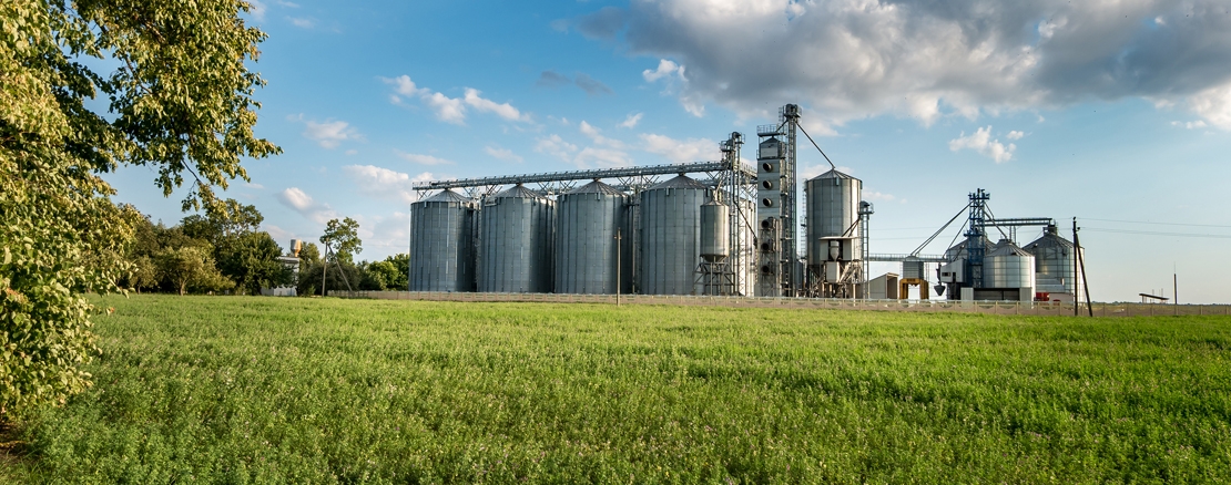 Two oil mills with silo storages